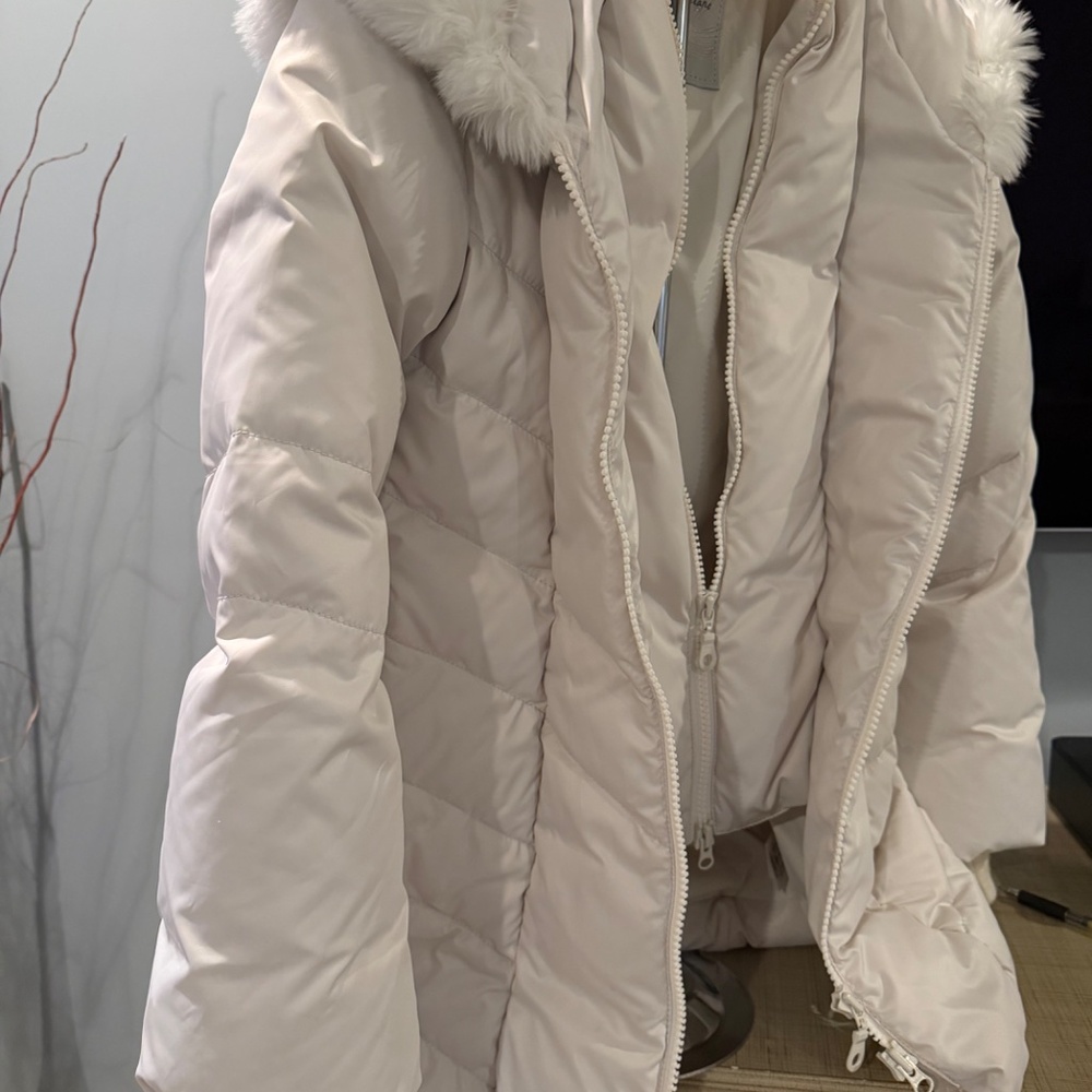 Puffer - Picture 4 of 8